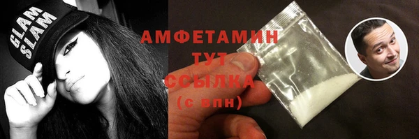 гидра Вязьма